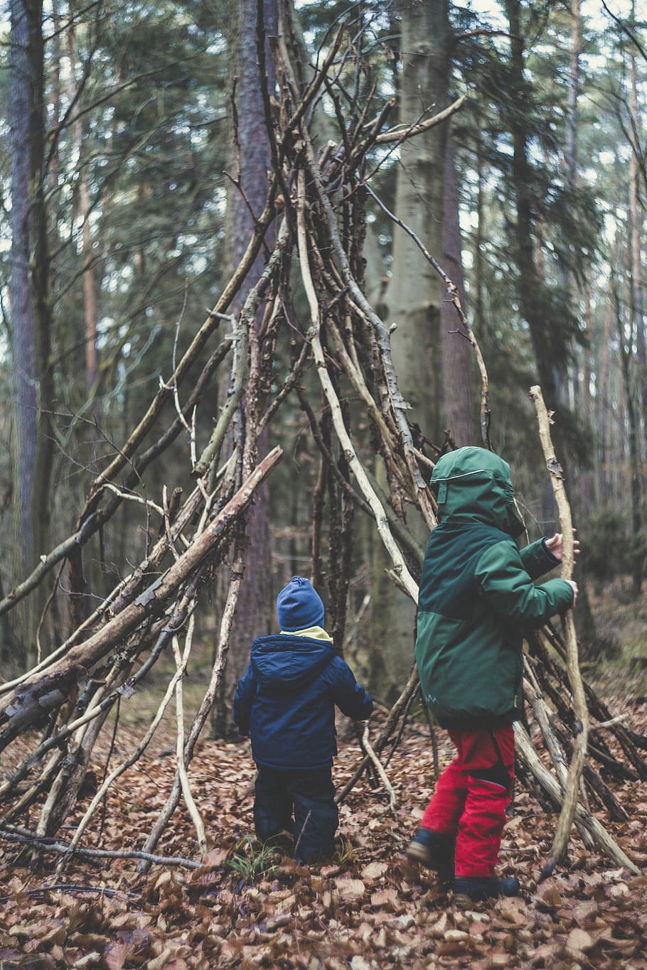 two people on forest, boy holding driftwood, tree, woodland, den HD wallpaper