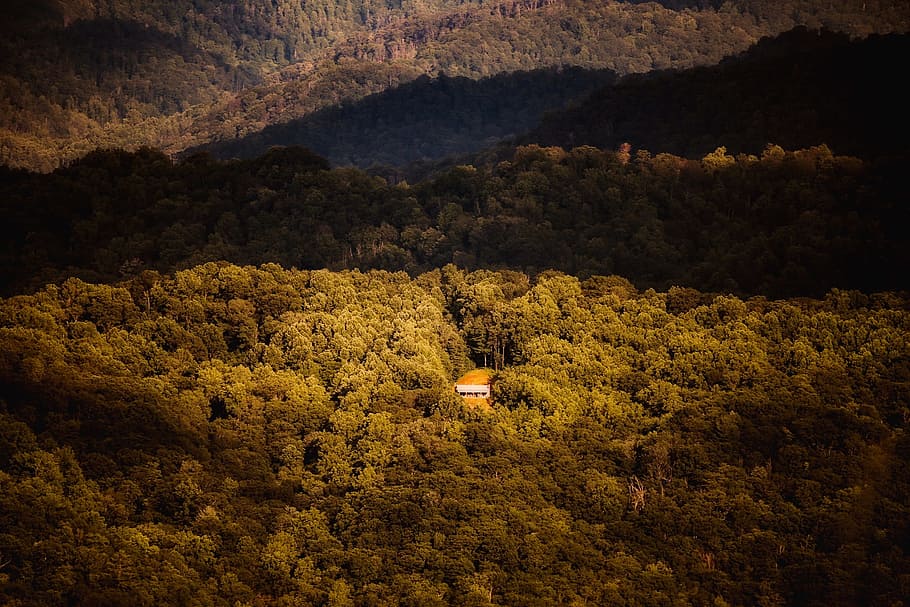 landscape, nature, outdoors, forest, trees, woods, cabin, cottage HD wallpaper