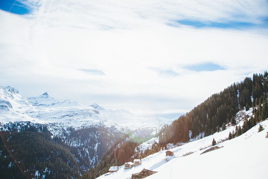 trees near mountain during daytime, snow coped mountain with trees HD wallpaper