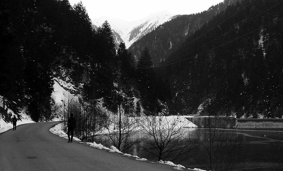 landscape, black, white, tree, nature, travel, plant, snow HD wallpaper