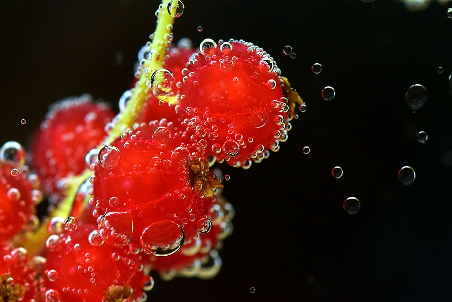 food, healthy, red, fruits, berries, bright, bubbles, close-up HD wallpaper