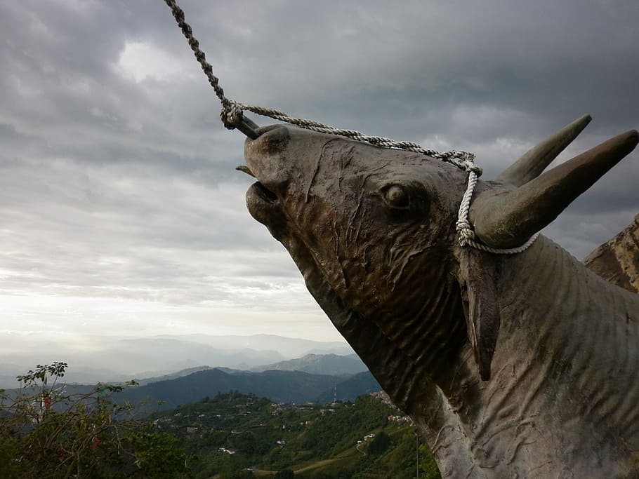 Statue, Monument, Sculpture, animal body part, one animal, no people HD wallpaper