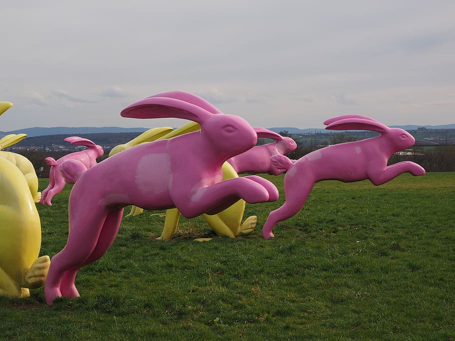 rabbit, springhares, artwork, pink, seat and flitz rabbits, HD wallpaper