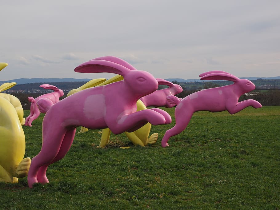rabbit, springhares, artwork, pink, seat and flitz rabbits HD wallpaper