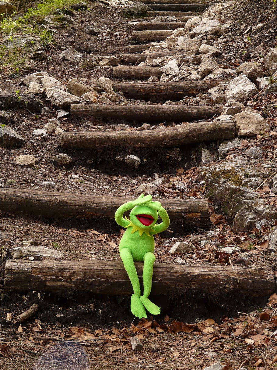 Kermit the Frog covered his eye on brown log, Sit, Stairs, gradually