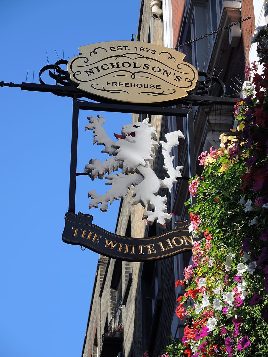 london, shield, pub, built structure, low angle view, building exterior HD wallpaper