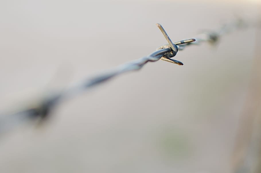 Barbed, Wire, Barbed Wire, Fence, Wired, barbed wire fence HD wallpaper