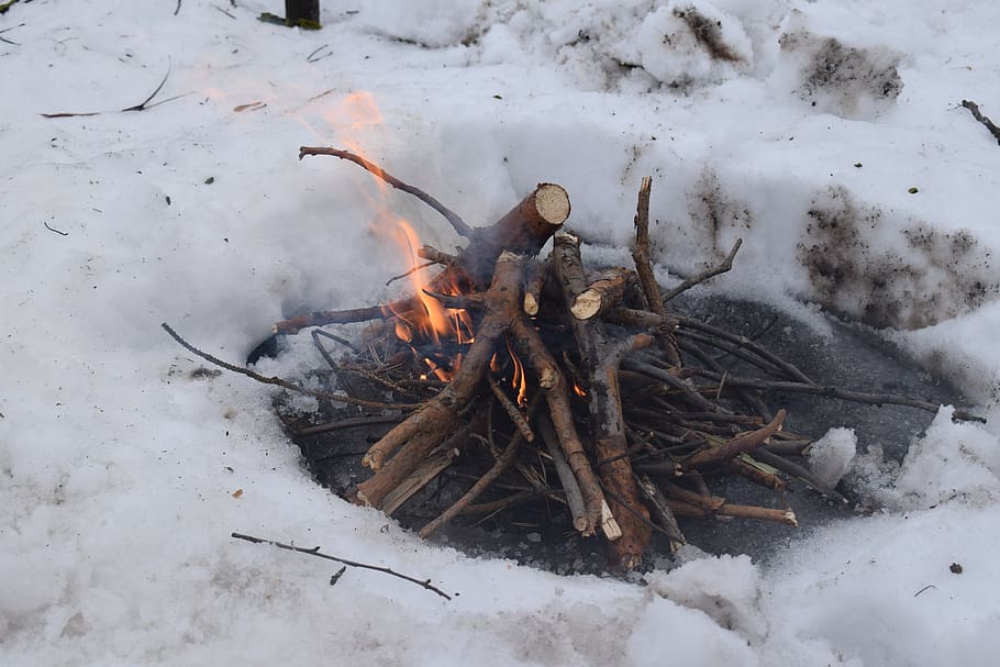koster, fire, winter, snow, burning, flame, cold temperature HD wallpaper