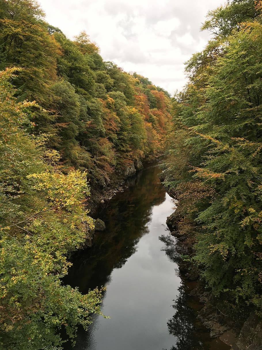 Perthshire, River, Tree, autumn, scotland, tags separated by comma HD wallpaper