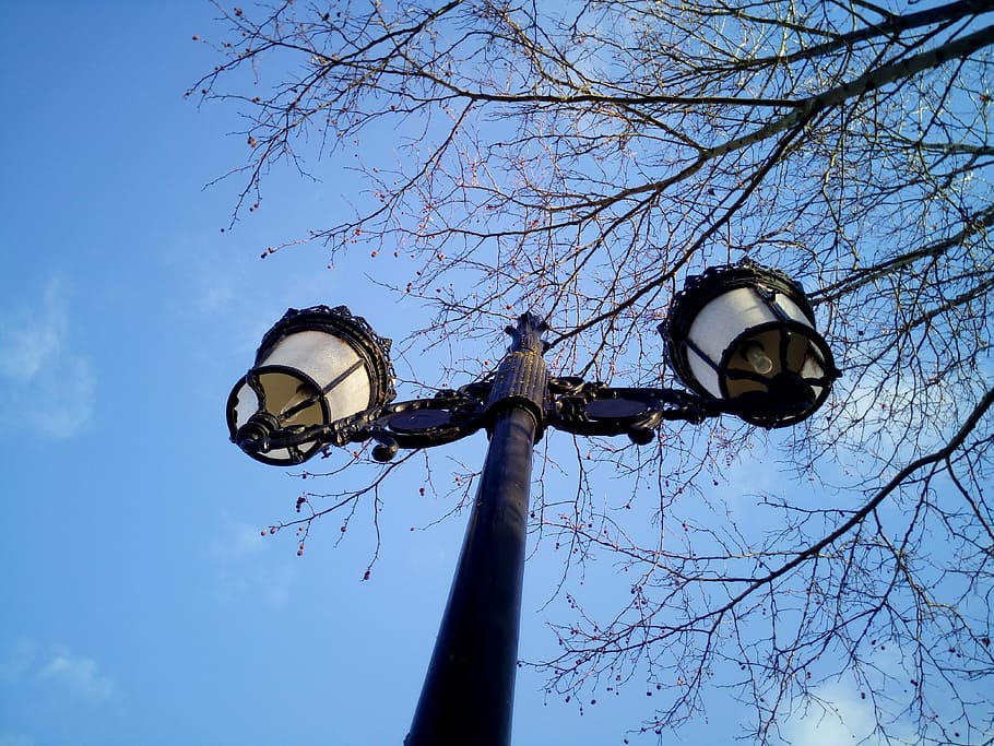 streetlights, lighting, sky, branches, park, lamp, lantern HD wallpaper