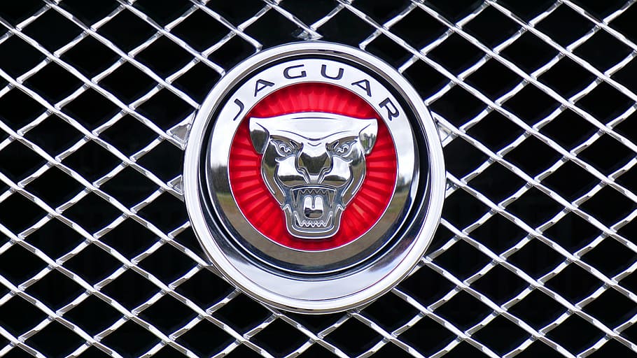 Jaguar emblem, logo, car, design, icon, silver, auto, brand, symbol, HD wallpaper