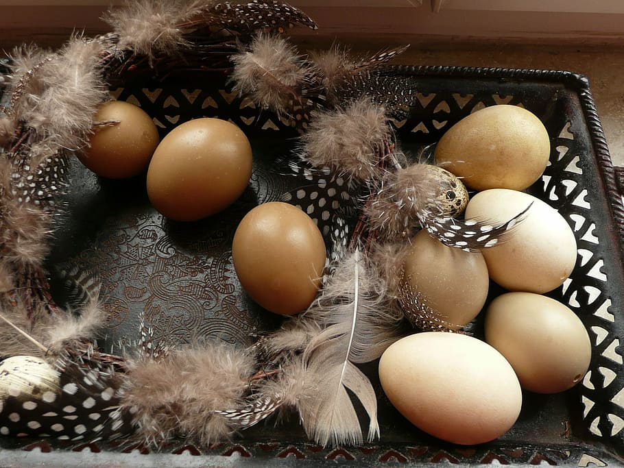 easter, easter eggs, decoration, easter nest, indoors, high angle view HD wallpaper