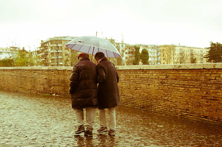 two person holding umbrella walking under the rain, old people, HD wallpaper