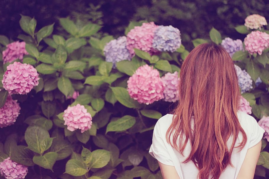 photography of woman facing pink petaled flowers, women, nature HD wallpaper