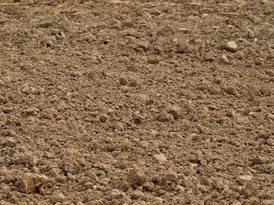 brown dirt, Earth, Soil, Arable, Field, Agriculture, backgrounds HD wallpaper