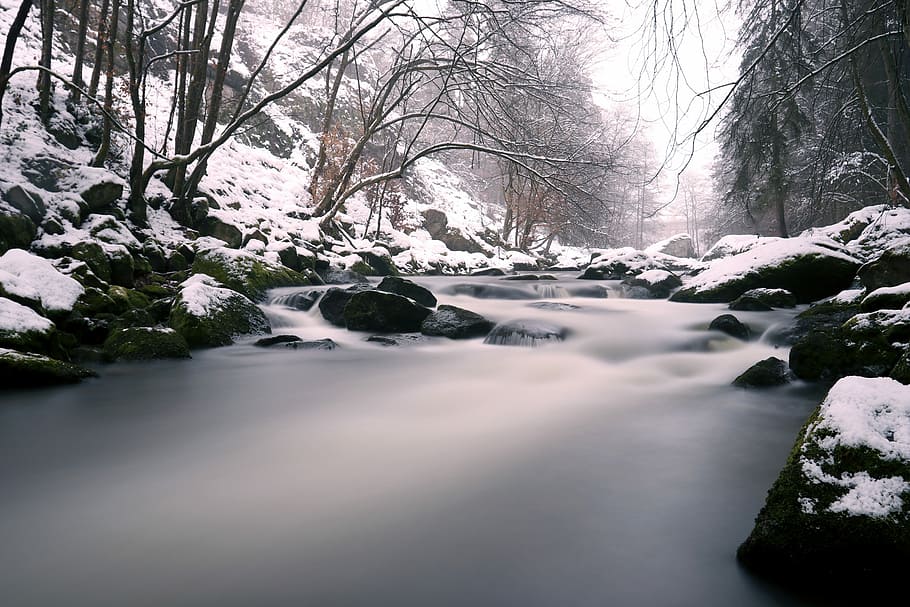 grayscale photo of river between tall trees, snow, winter, cold HD wallpaper