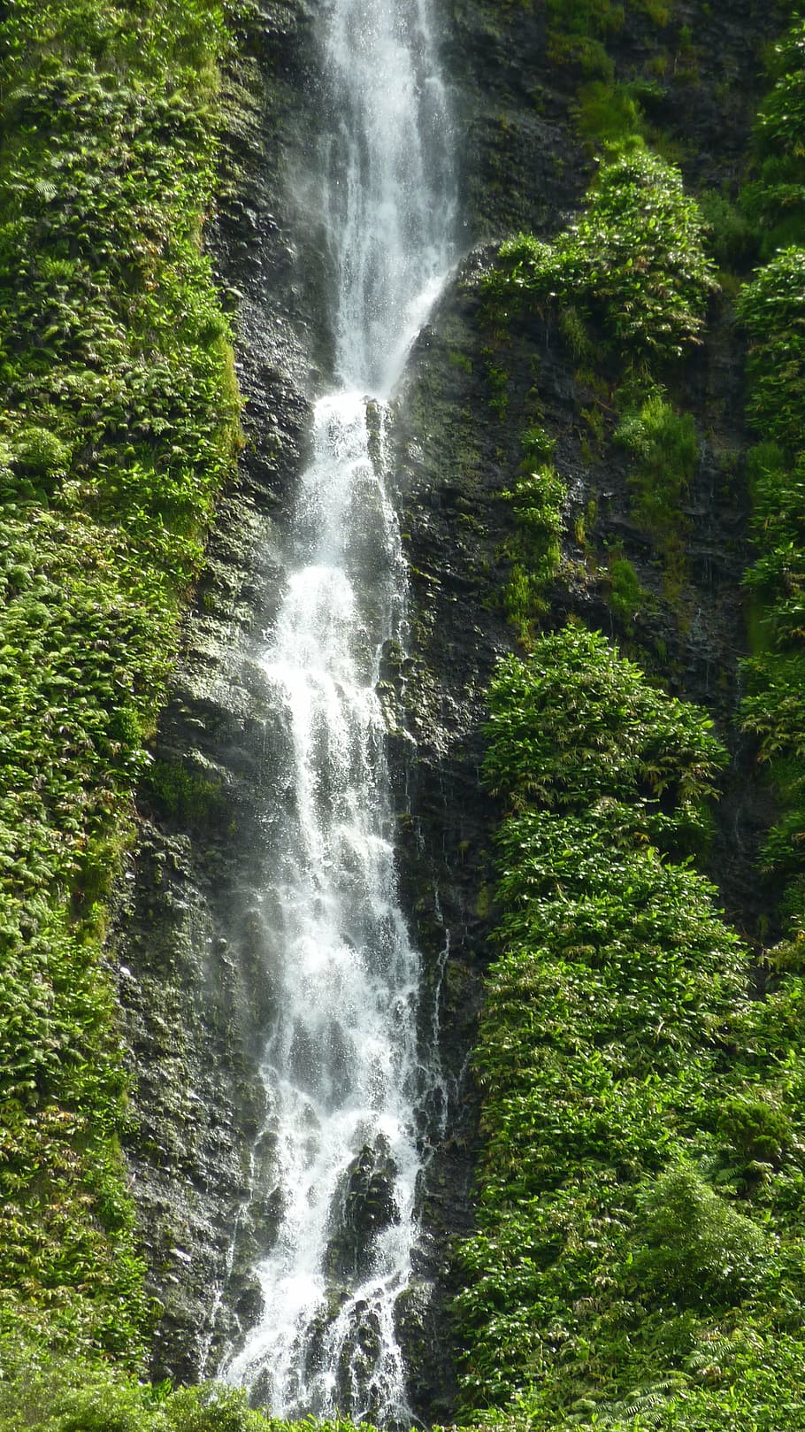 waterfall, mountain, landscape, forest, flow, mountains, azores HD wallpaper