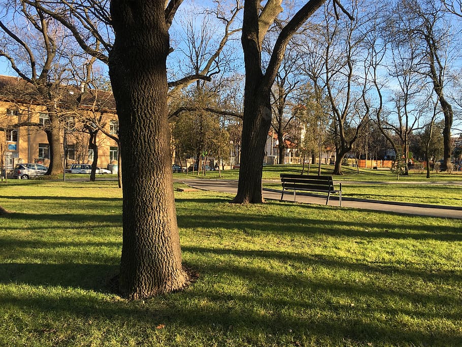 bulgaria, sofia, park, view, garden, bench, tree, plant, grass HD wallpaper