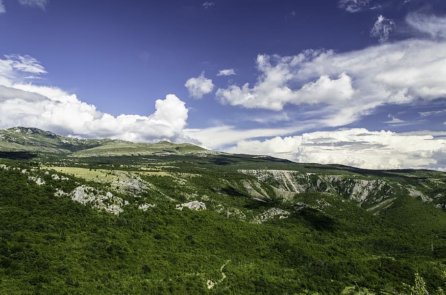 green terrain under clear sky, untitled, cloud, forest, tree HD wallpaper
