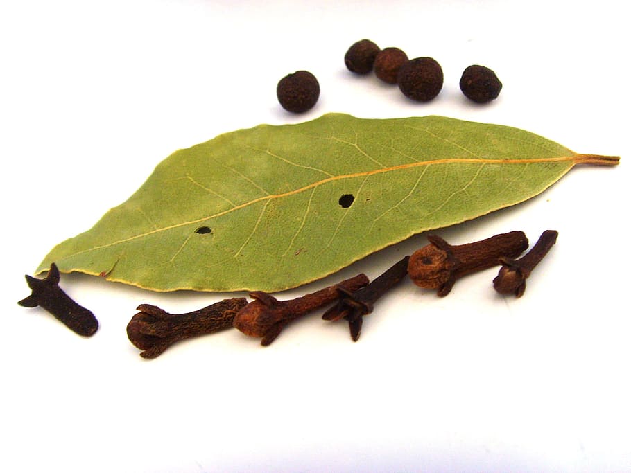 green leaf, Spices, Cloves, Laurels, Bay Leaf, nature, close-up HD wallpaper