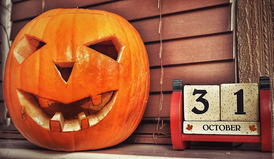 orange jack-o'-latern decor, halloween, pumpkin, jack-o-lantern HD wallpaper
