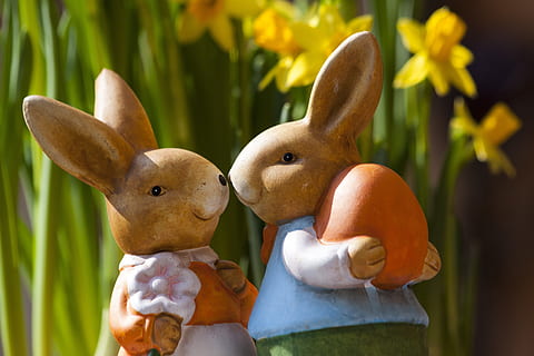 two rabbit figurines near daffodil flower, easter bunny, bunny couple HD wallpaper