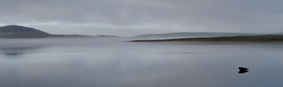 seal, water, mist, mountain, tranquility, tranquil scene, beauty in nature HD wallpaper
