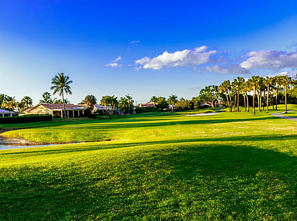 photo of green grass field, Golf, Fairway, Course, Sunset, golfing HD wallpaper