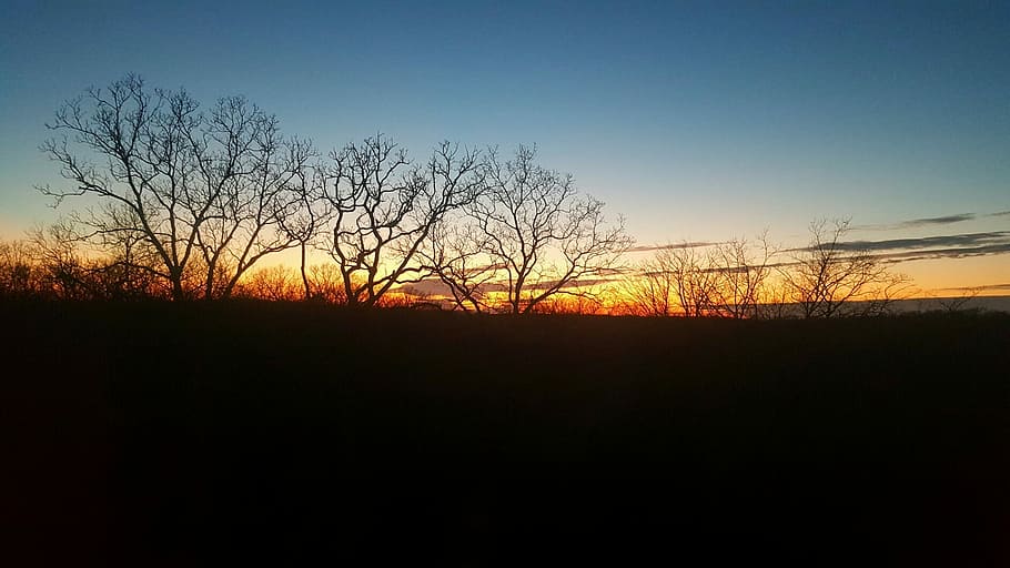 Sunset, Nature, Summer, Dusk, Outdoors, peaceful, beautiful landscape HD wallpaper