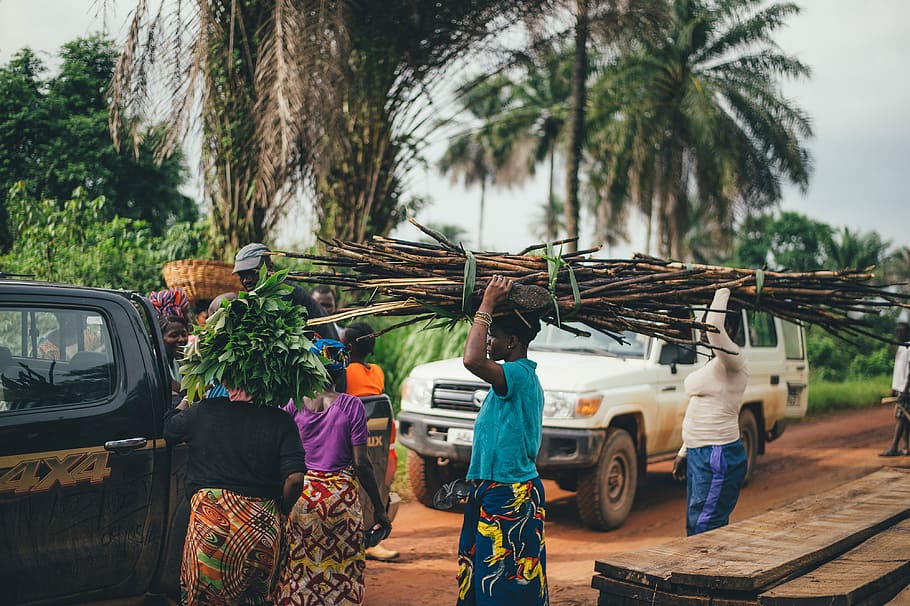 Cassava farming in Sierra Leone, woman carrying firewood on head near black pickup truck, HD wallpaper