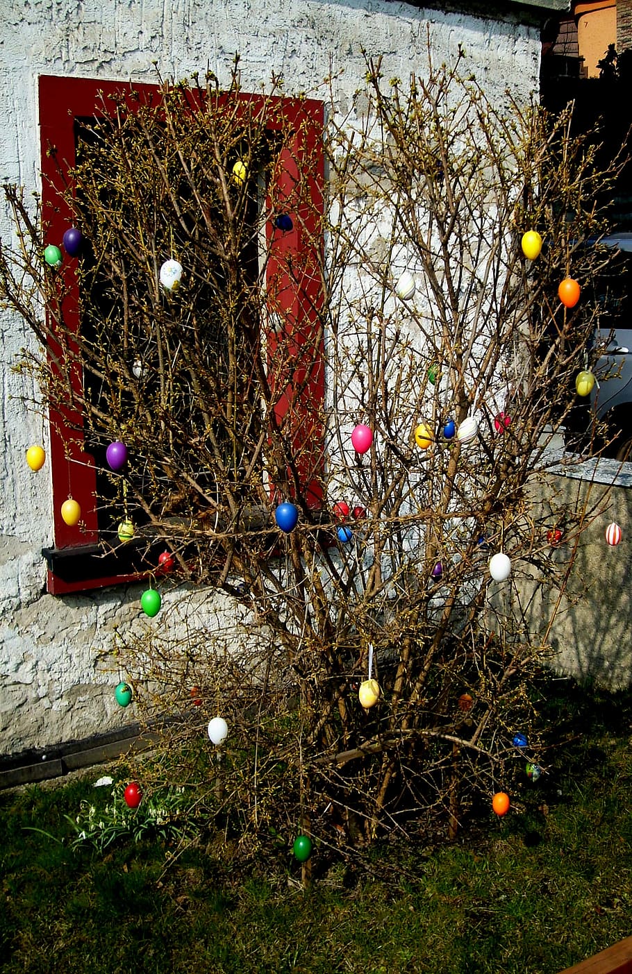 easter bush, customs, easter decorations, easter eggs, color HD wallpaper