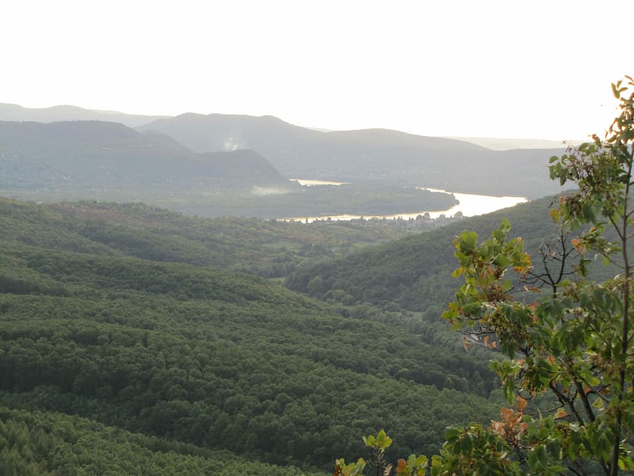 Forest, River, River, Danube, Water, Landscape, lookout tower HD wallpaper