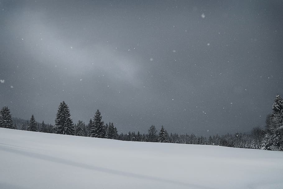 Snow, Night, Sky, Wintry, Cold, Mood, cold temperature, winter HD wallpaper