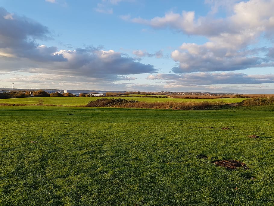 field, park, nature, landscape, cloud - sky, environment, tranquil scene HD wallpaper