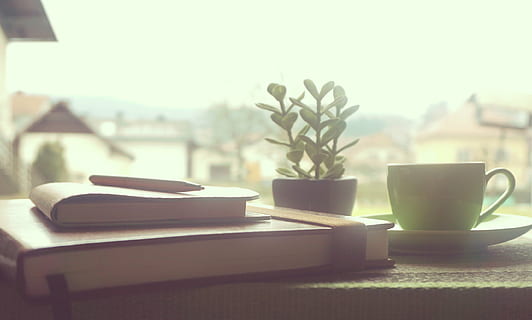 white ceramic teacup beside plant and pile of books, coffee HD wallpaper