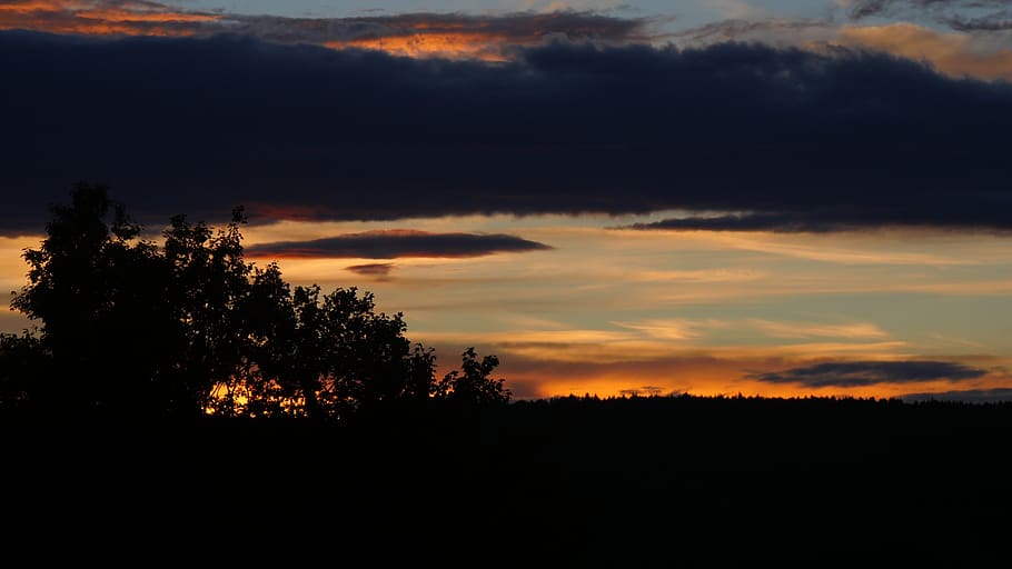 sunset, afterglow, clouds, evening, tree, silhouette, sky, cloud - sky HD wallpaper