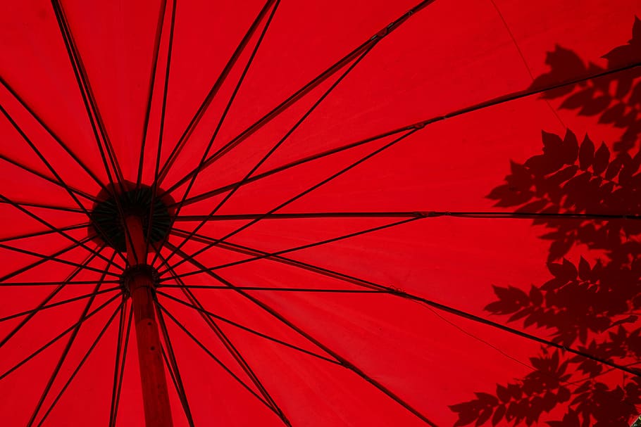 low angle photo of red umbrella, red umbrella, parasol, tree HD wallpaper