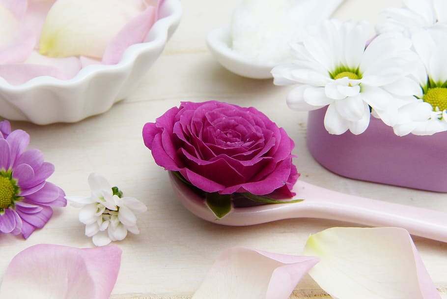 pink rose, spoon, shea butter, cosmetics, skin care, body care