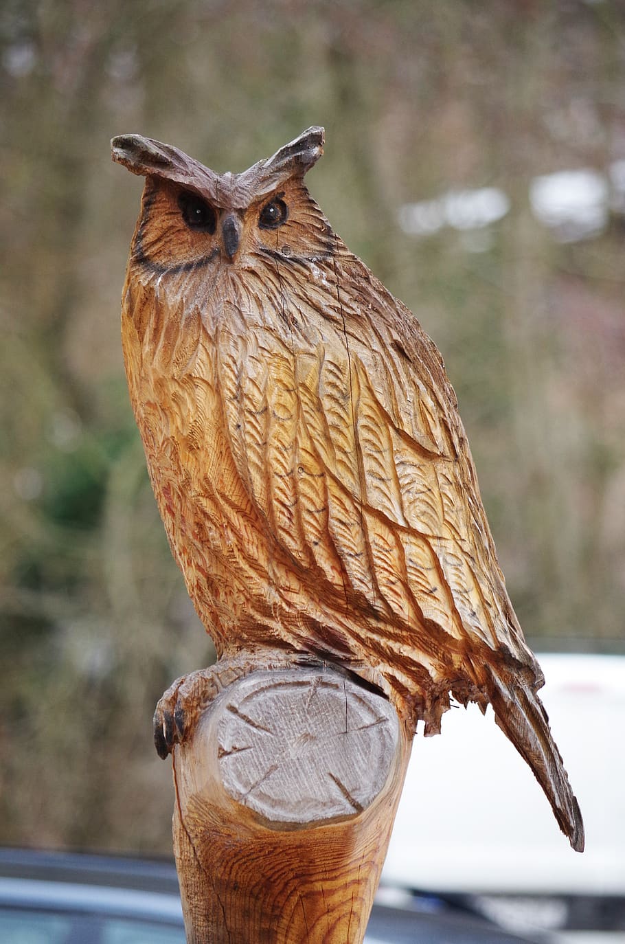owl, wood, focus on foreground, one animal, bird, animal themes HD wallpaper