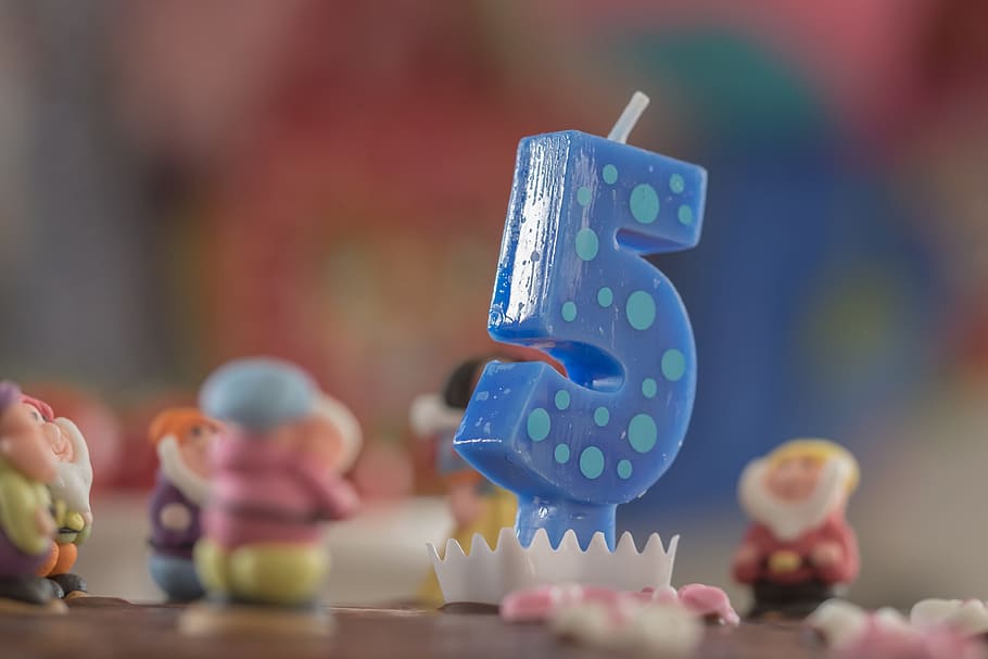 closeup photography of blue 5 cake candle, birthday, number HD wallpaper
