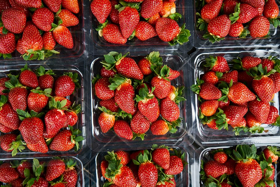 strawberry, fruit, fresh, beautiful, red, sunday, garden, healthy HD wallpaper