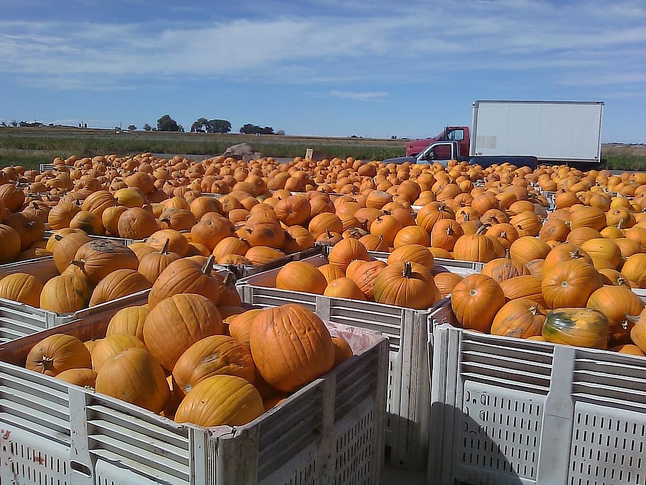 colorado, pumpkins, fall, autumn, sky, clouds, transport, crater HD wallpaper