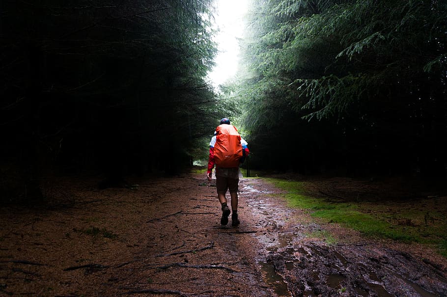 man with red bag in the middle of forest, man carrying red backpack on trail with trees on sides HD wallpaper