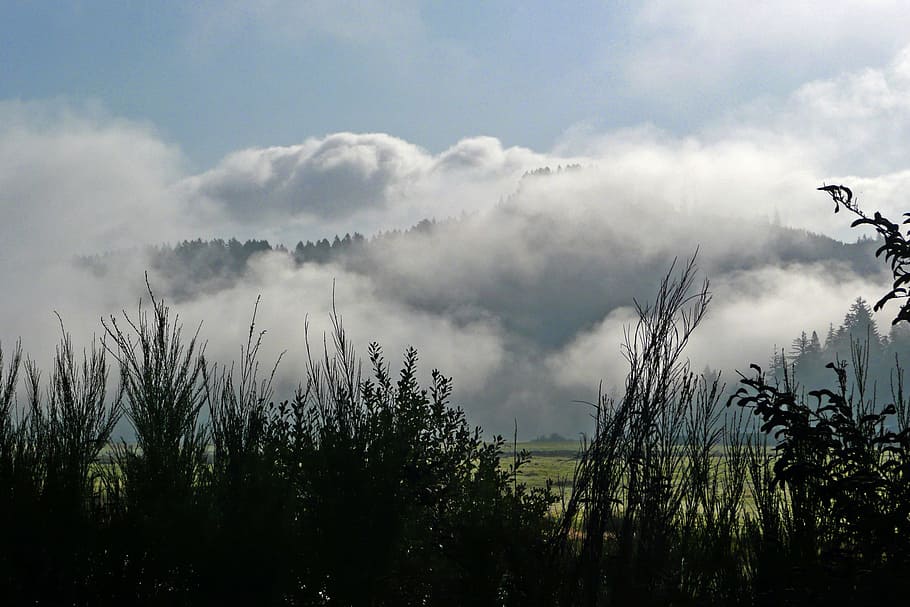 Clouds, Plants, Weather, Hills, sky, outdoor, natural, countryside HD wallpaper