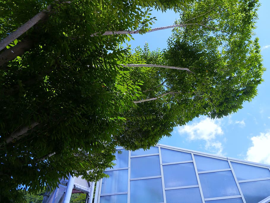 Sky, Cloud, Wind, Building, Glass, plateau, natural, wood, woods HD wallpaper