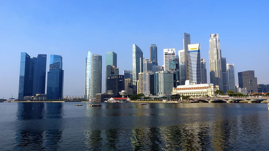 city buildings near on body of water, skyscraper, urban Skyline HD wallpaper