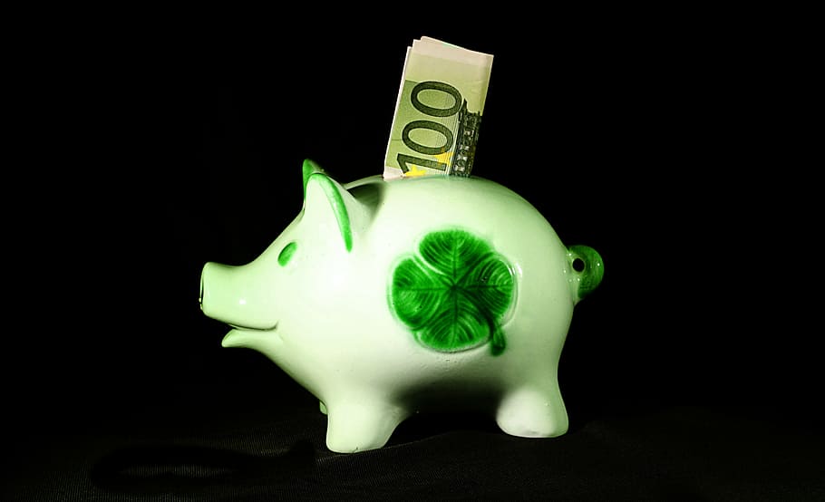 4-leaf clover piggy bank with 100 banknote inserted, money, save, HD wallpaper