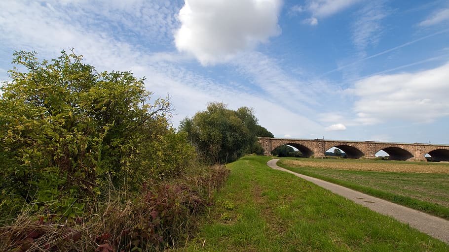 spring, lane, clouds, landscape, plant, sky, bridge, grass HD wallpaper