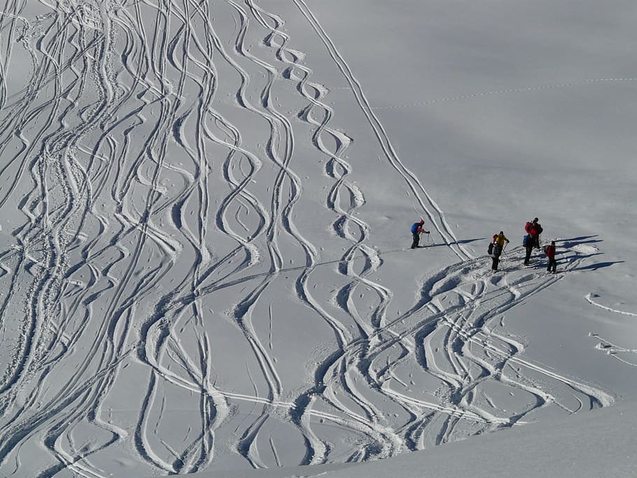 Skiing, Departure, Wag, Trace, Curves, powder snow, wintry HD wallpaper
