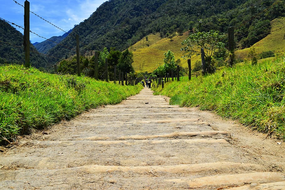perspective, infinity, green, valley, cocora, mountains, forests HD wallpaper
